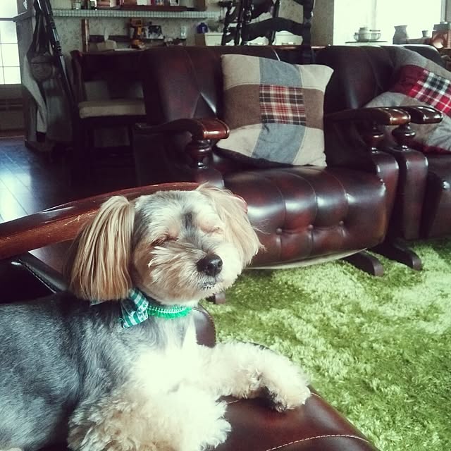 r-mishさんの実例写真
