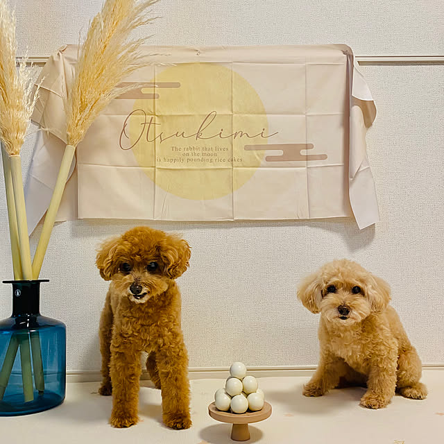 tpmamaさんの実例写真