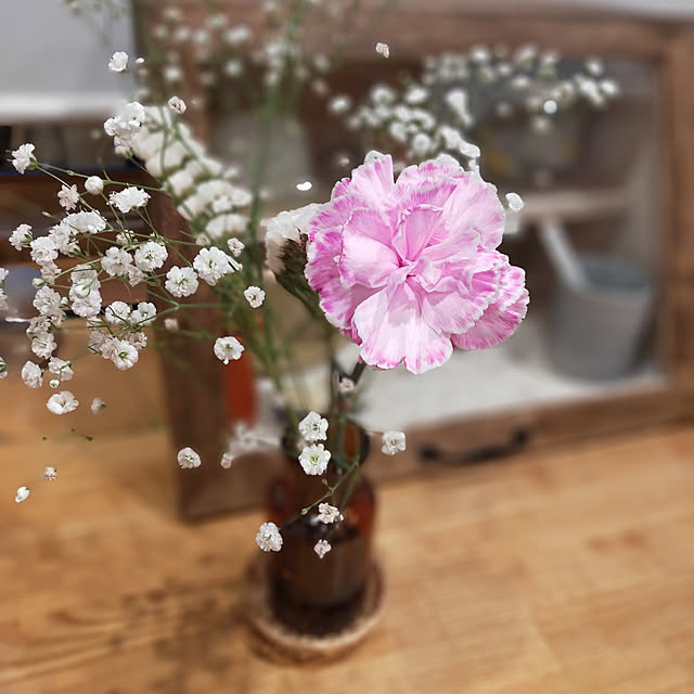 キッチン/観葉植物/ナチュラル/北欧/カフェ風のインテリア実例 - 2022-03-27 07:32:02