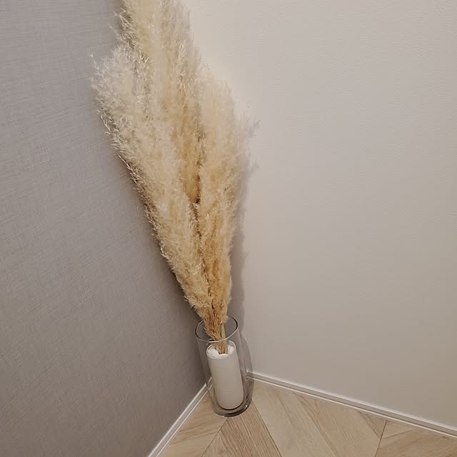 kiyomiさんの実例写真