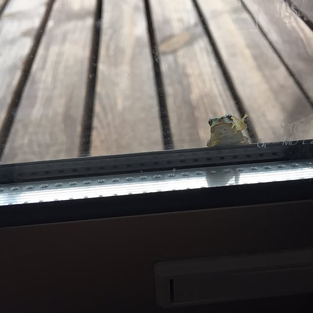 odekoさんの実例写真