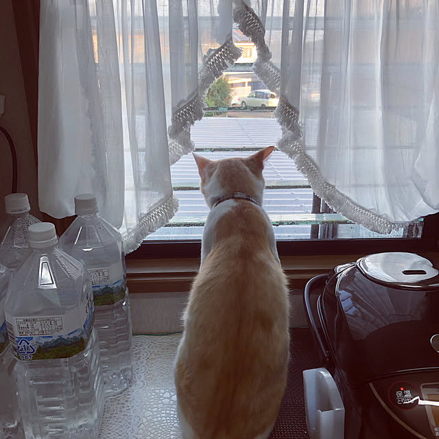 himetanさんの実例写真