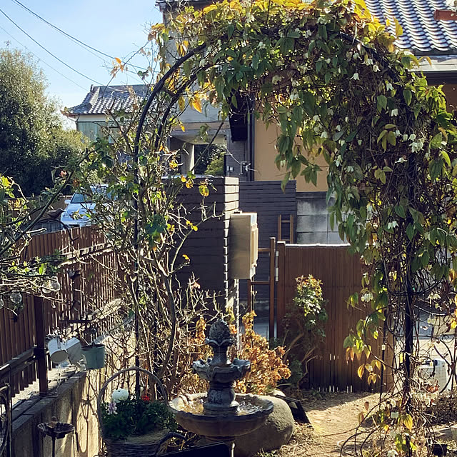 taeさんの実例写真