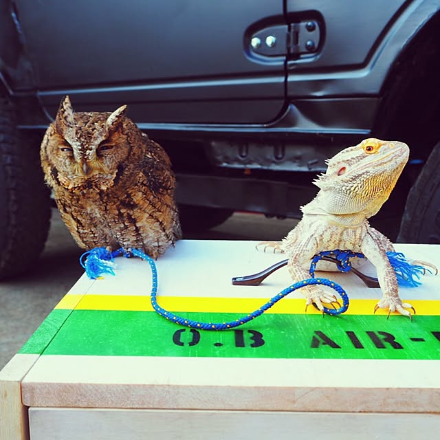 onigami05さんの実例写真