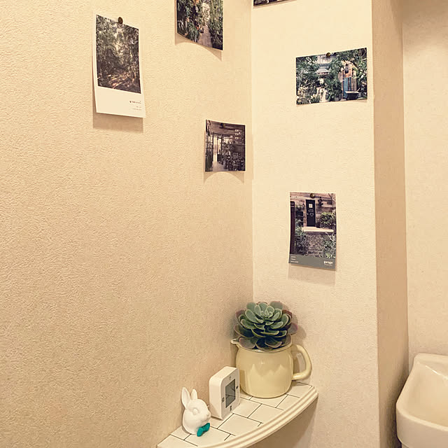 実例写真