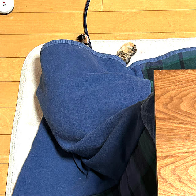 cocoさんの実例写真