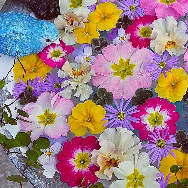 mocomocoさんの部屋