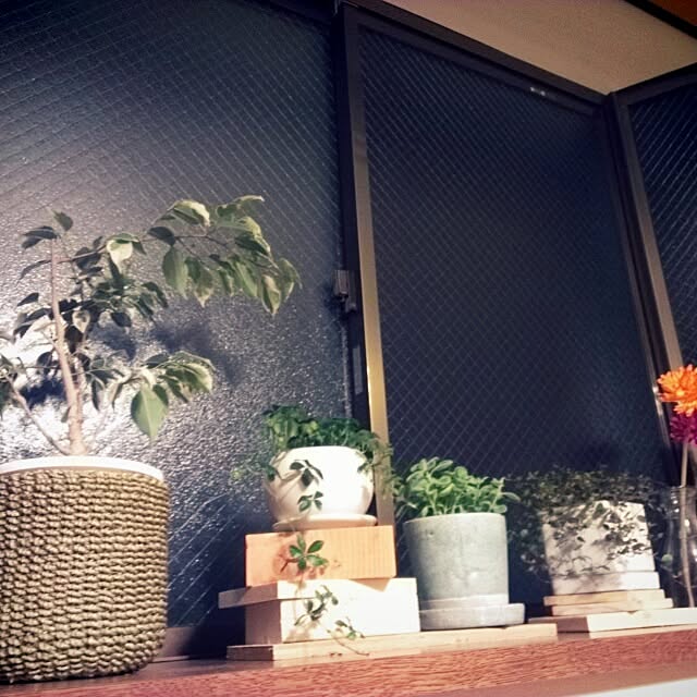bambiさんの実例写真