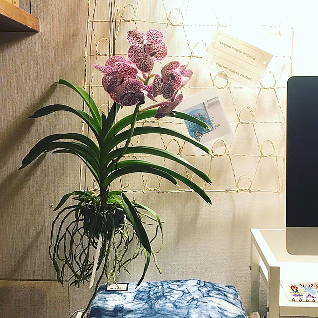 Binさんの実例写真