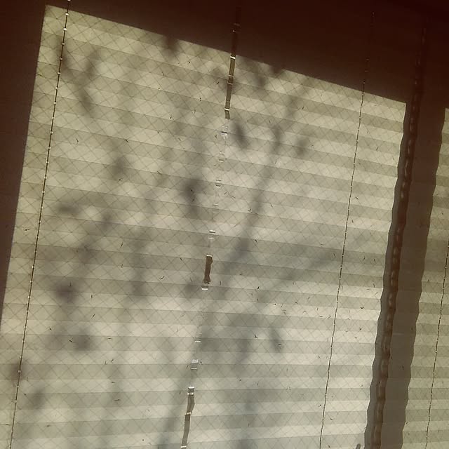 yukkoさんの実例写真