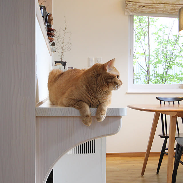 Hisashiさんの実例写真
