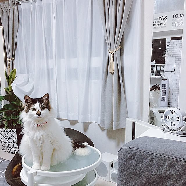 mikaさんの実例写真