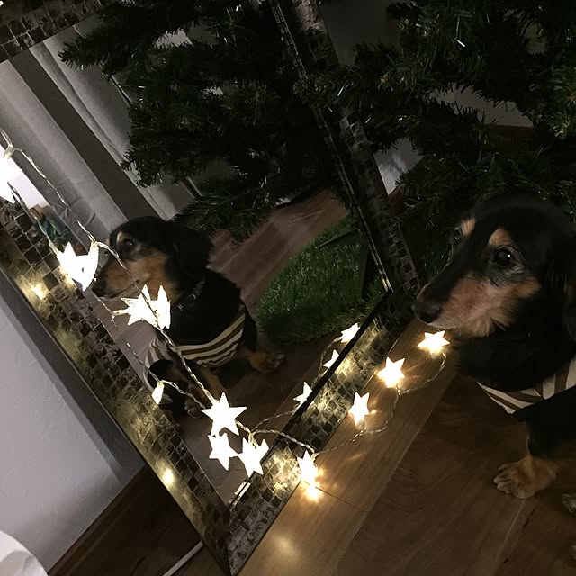 caonさんの実例写真
