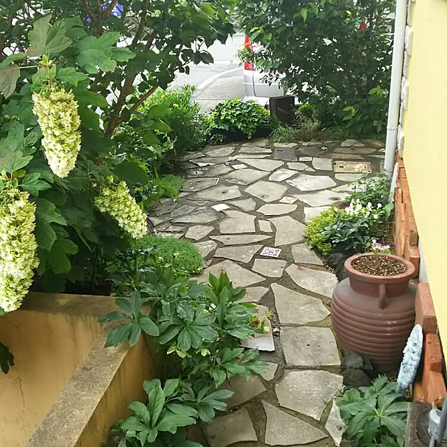 satorinさんの実例写真