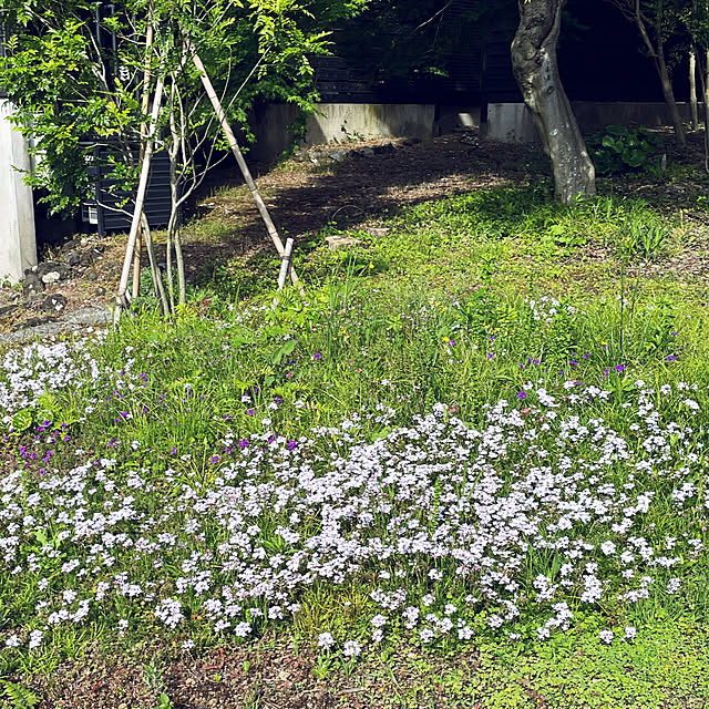 kabu10さんの実例写真