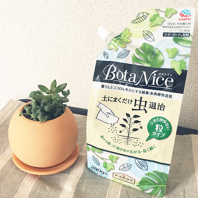 soraさんの実例写真