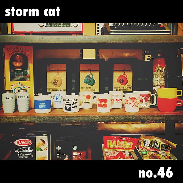 stormcatさんの実例写真