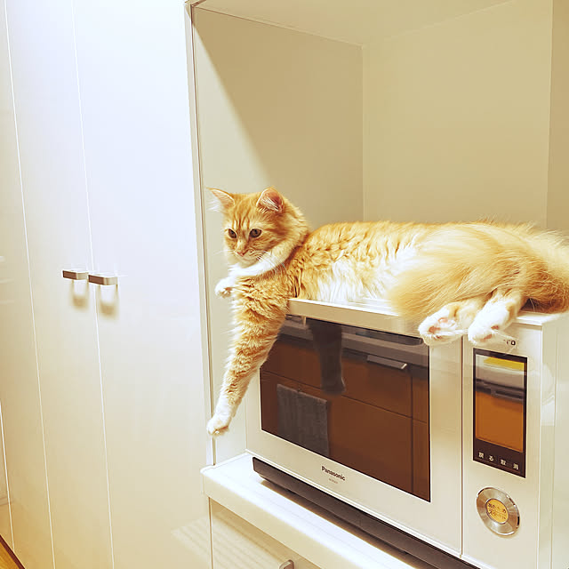 m.r.iさんの実例写真