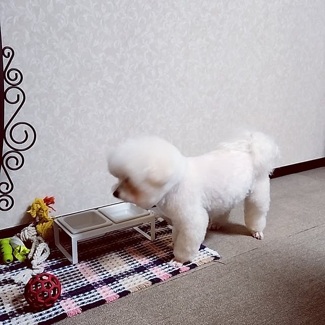 takoさんの部屋