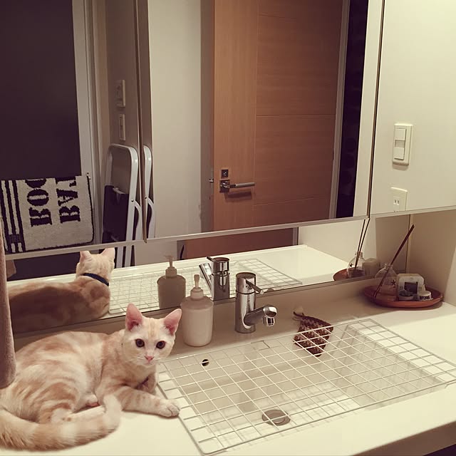 hiyupan88さんの実例写真
