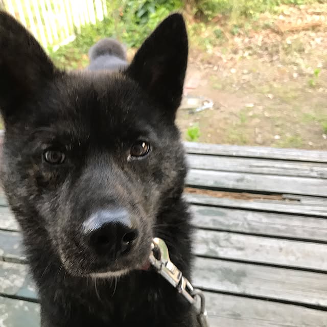 haruさんの実例写真