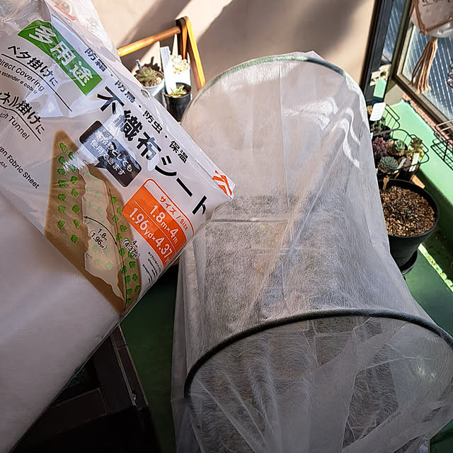 noaさんの実例写真