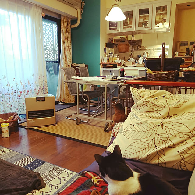 okyosan101さんの実例写真