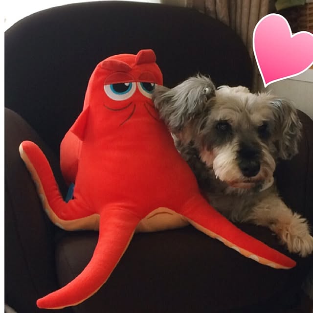 HappyRoseさんの実例写真