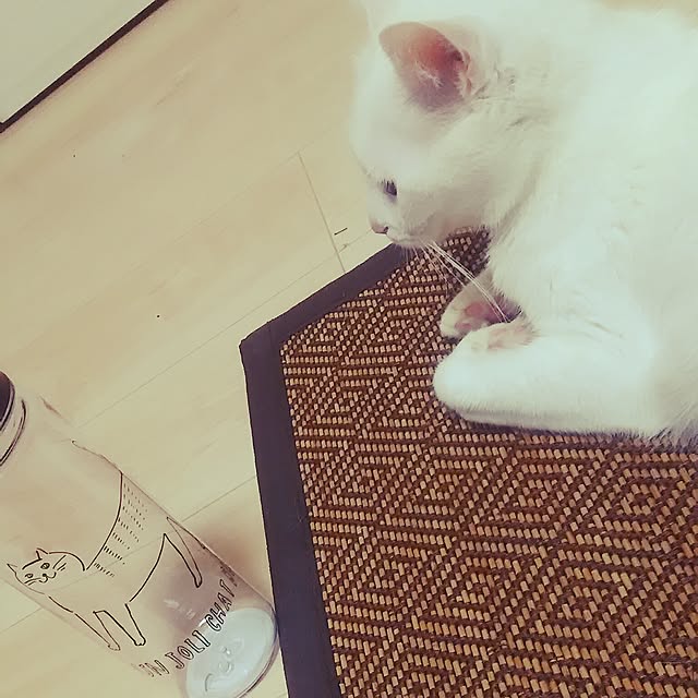 Miki1010さんの実例写真