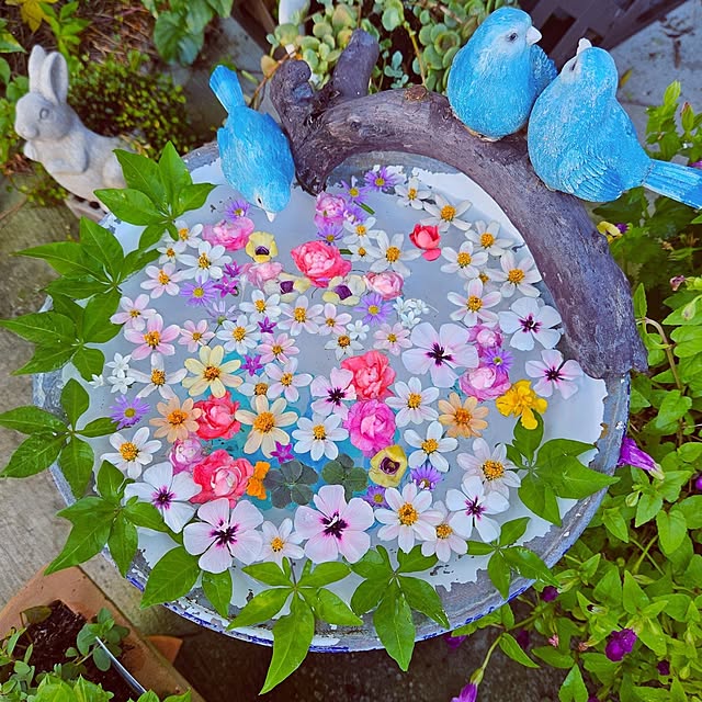 mocomocoさんの実例写真