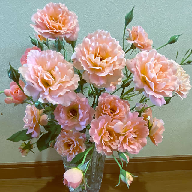 kaochanさんの実例写真