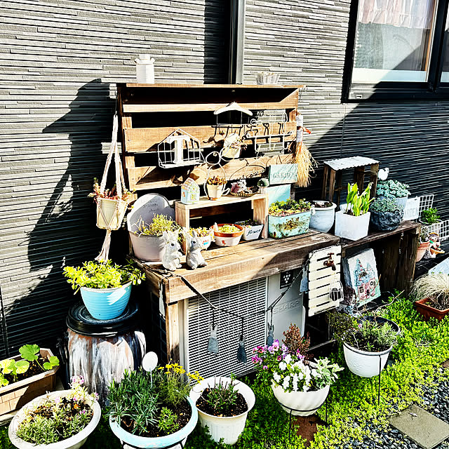 CoCo0617さんの部屋