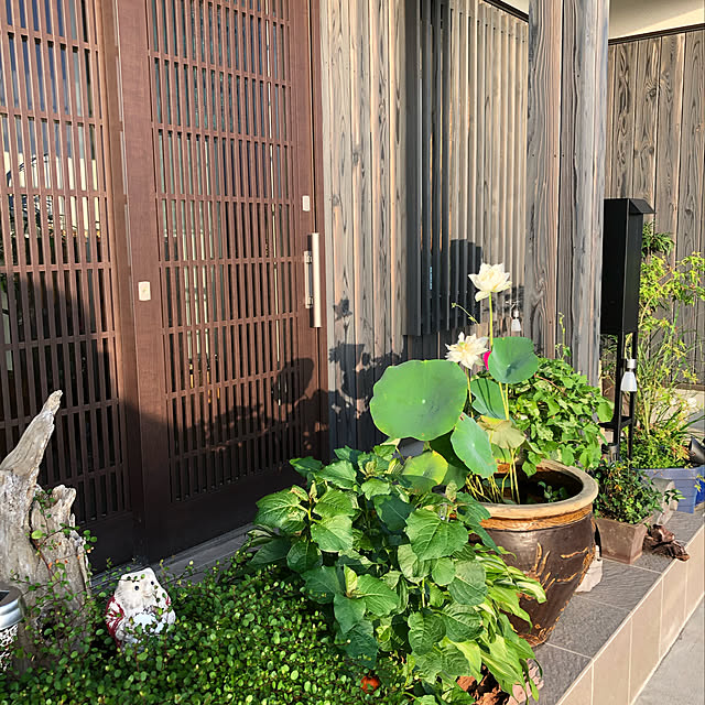 実例写真