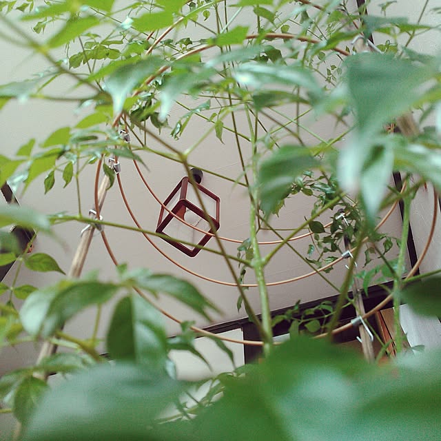 amelliaさんの実例写真