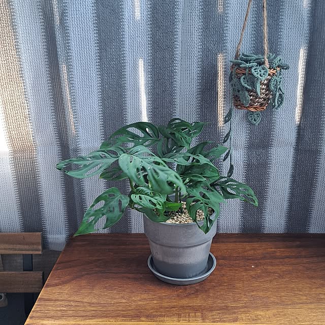 noaさんの実例写真