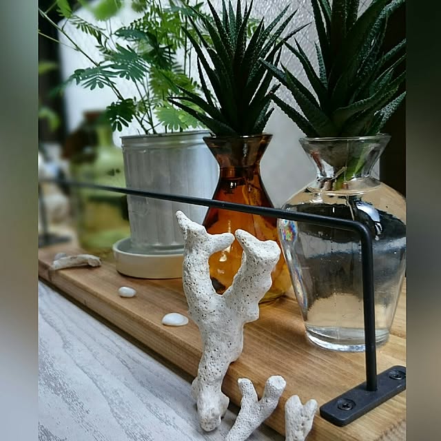 Lilyさんの実例写真