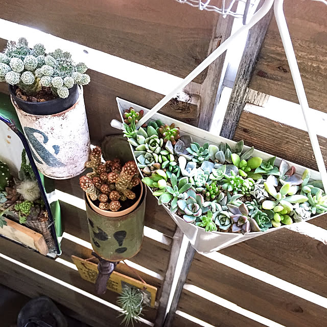 natulove0418さんの実例写真