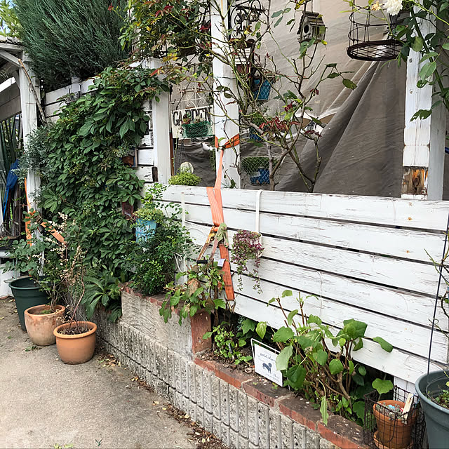 383junkさんの実例写真