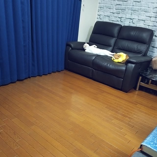 NOAHさんの部屋