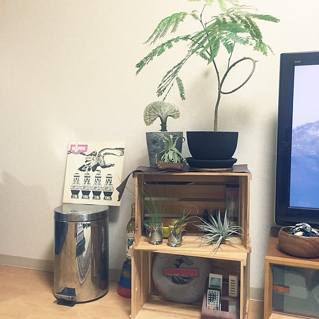 実例写真