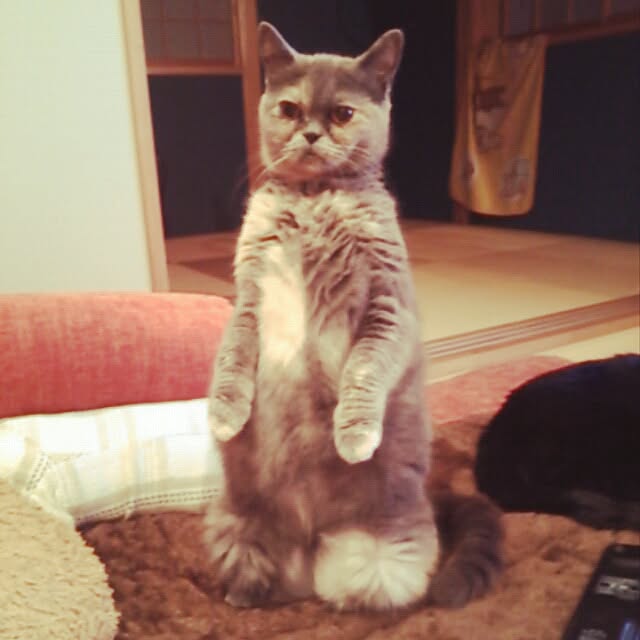 k.namiさんの実例写真