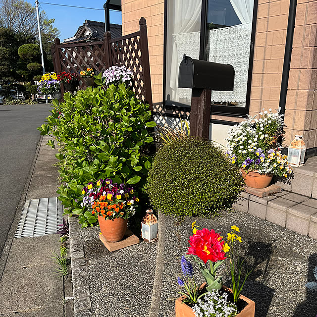 ritsukoさんの実例写真