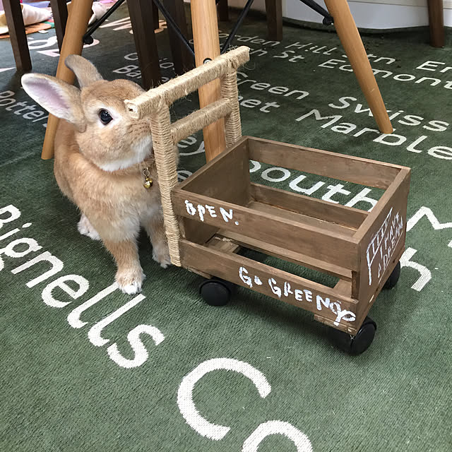 Eikoさんの実例写真