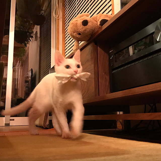 sakurasakuさんの実例写真