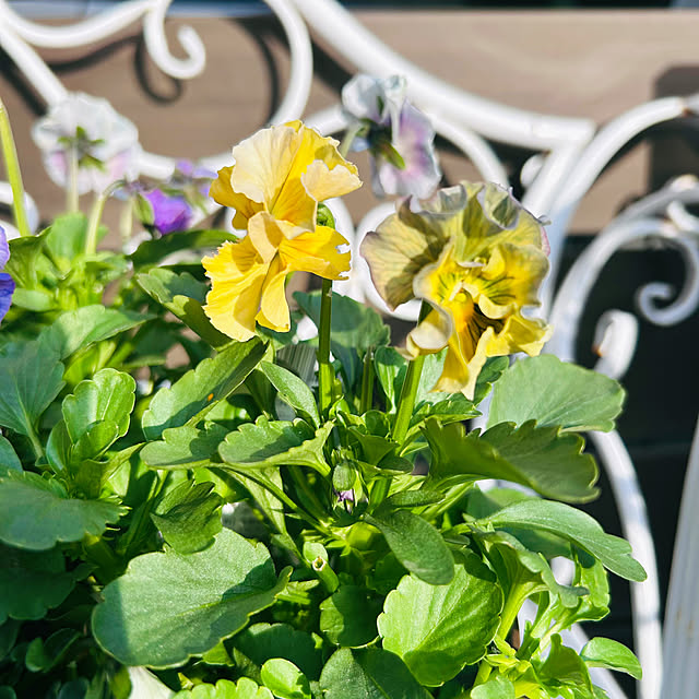 sunabaさんの部屋