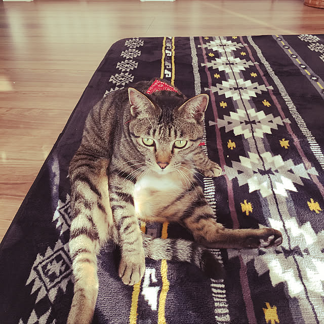 KANさんの実例写真