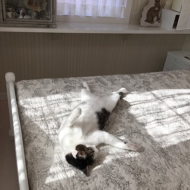 yuchiさんの実例写真