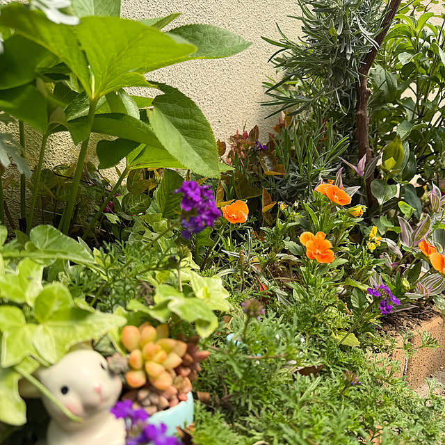 ma...さんの実例写真