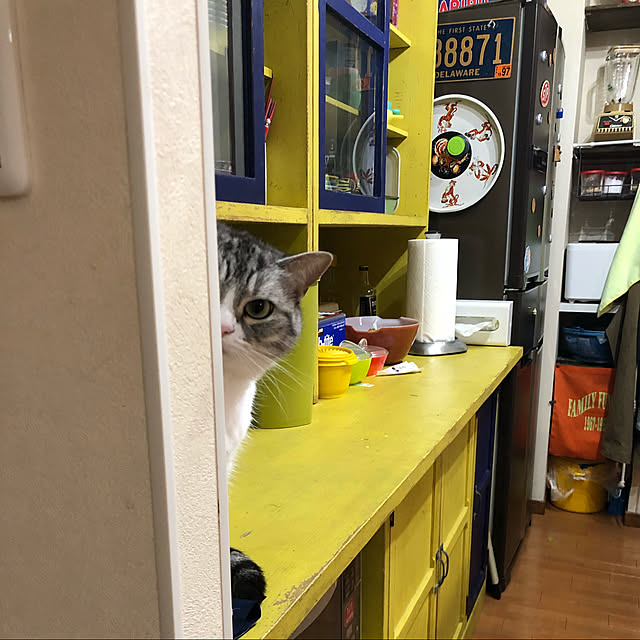Shojiさんの実例写真