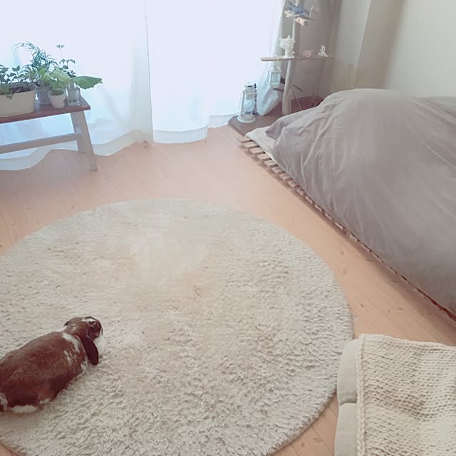 sakiyukaさんの実例写真